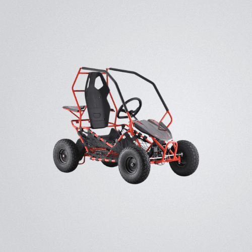 Gas Go Carts - ShopHubDepot