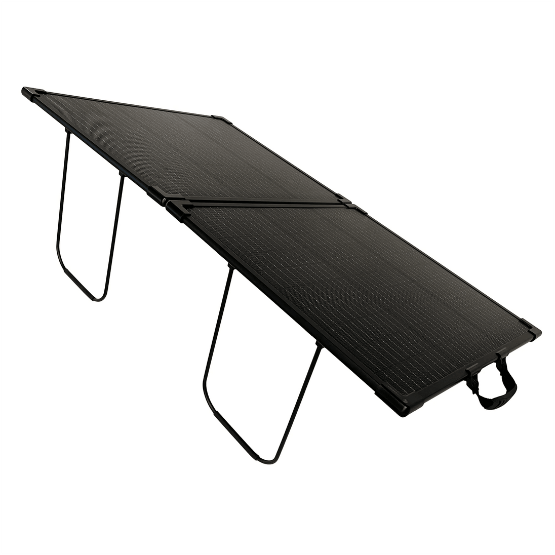 Lion Energy 100W 24V Solar Panel - ShopHubDepot