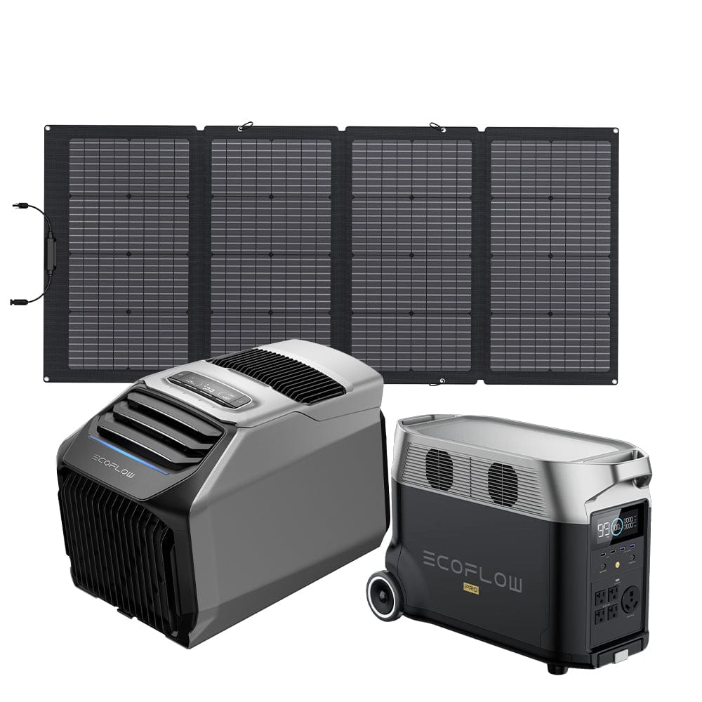 EcoFlow WAVE 2 Portable AC + DELTA Pro + 220W Portable Solar Panel